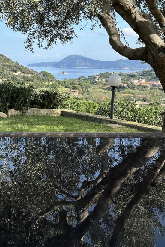Vista su Portoferraio dal giardino del B&B Aethalia