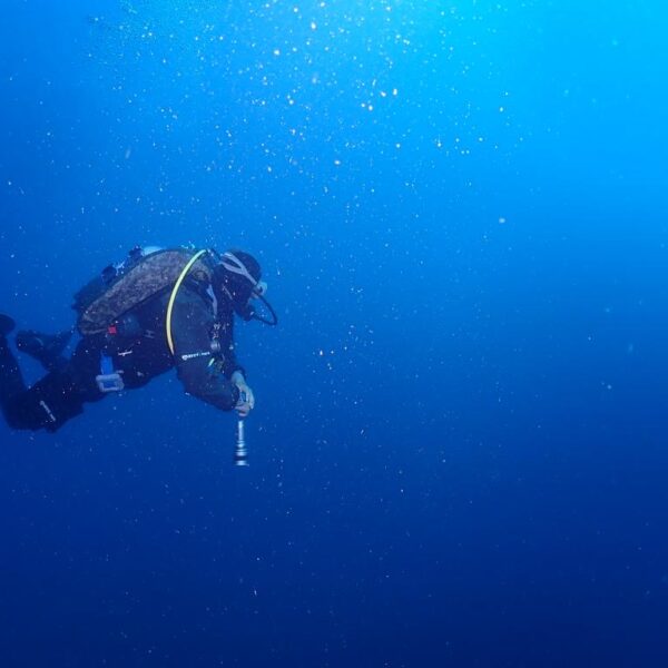 Sub in immersione