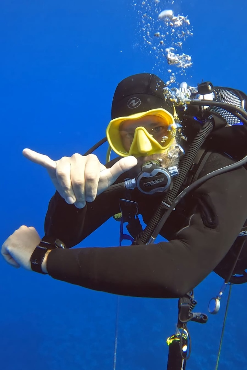 Sub in immersione
