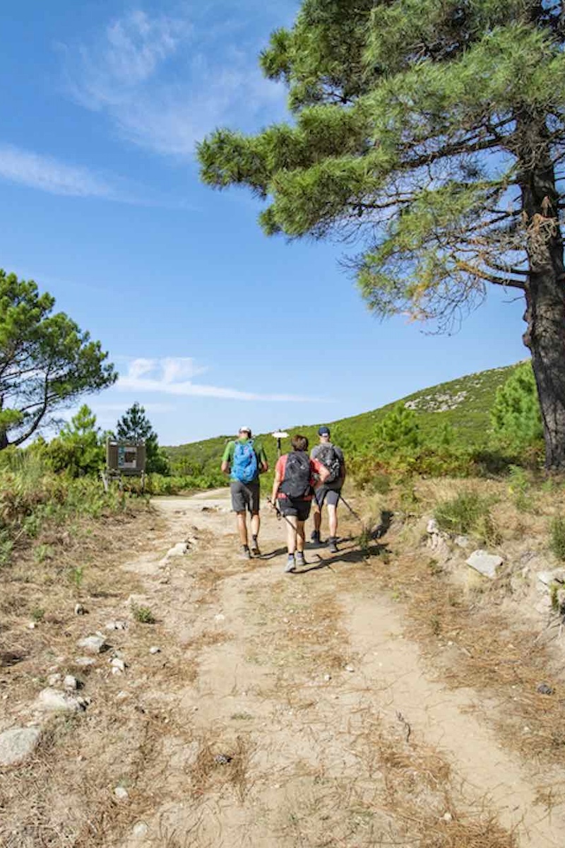 Trekking